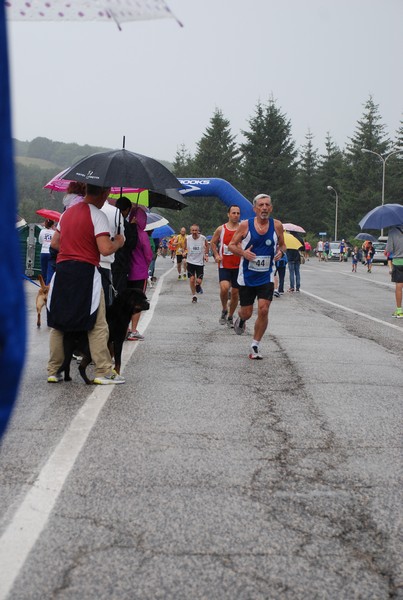 La Speata (C.E., T.S., T.O) (03/08/2014) 00089