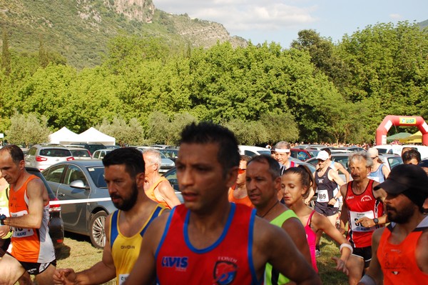 Campestre Oasi di Ninfa (24/05/2014) 033