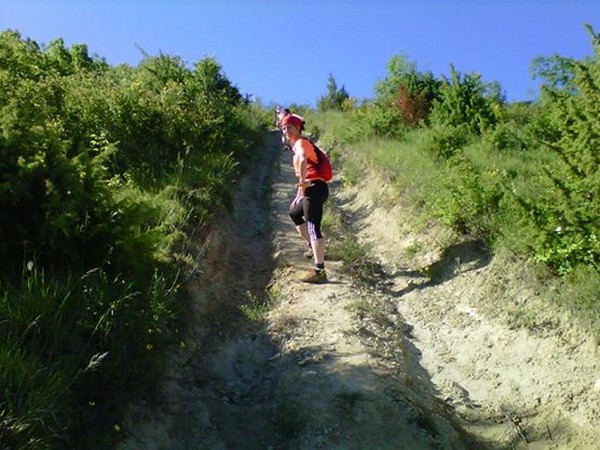 Trail della Margherita (25/05/2014) 00016
