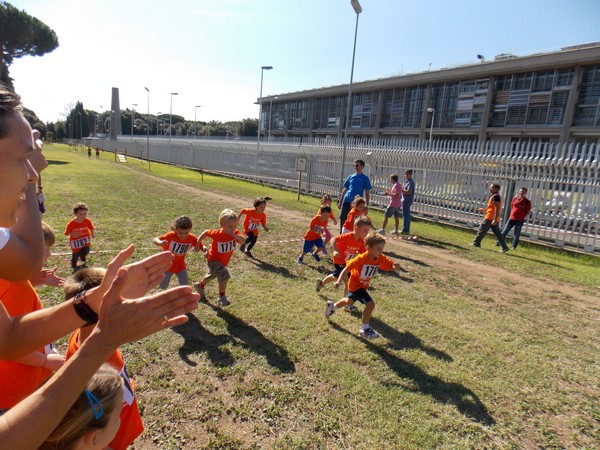 Trofeo Arancini Podistica Solidarietà (28/09/2014) 008
