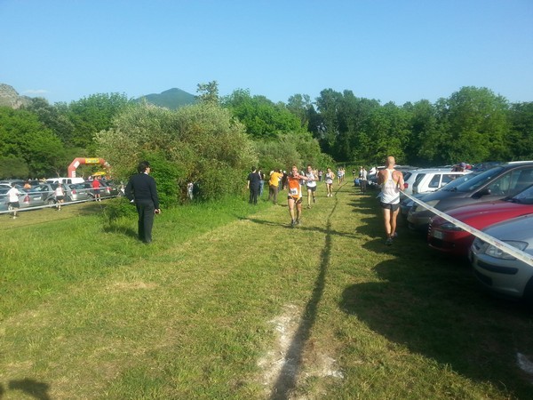 Campestre Oasi di Ninfa (24/05/2014) 00009