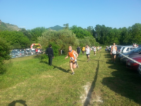 Campestre Oasi di Ninfa (24/05/2014) 00010