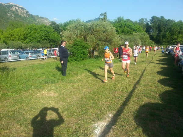 Campestre Oasi di Ninfa (24/05/2014) 00021