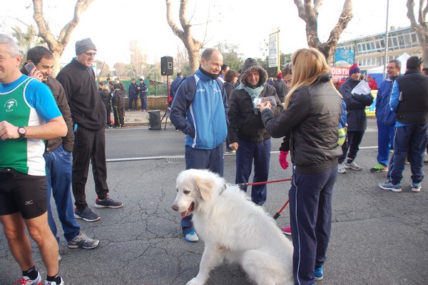 Trofeo Lidense (12/01/2014) 00024