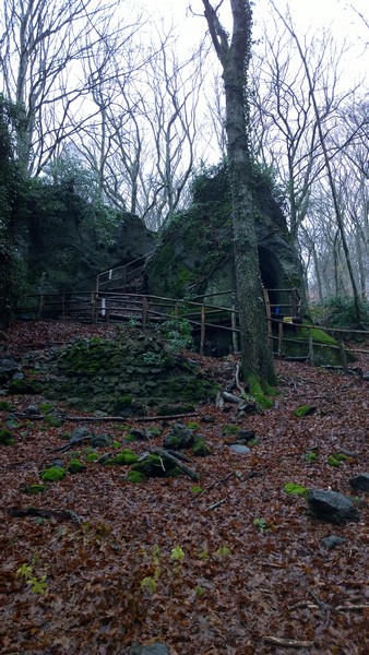 Trail del Monte Fogliano (Crit. Trail) (02/02/2014) 006