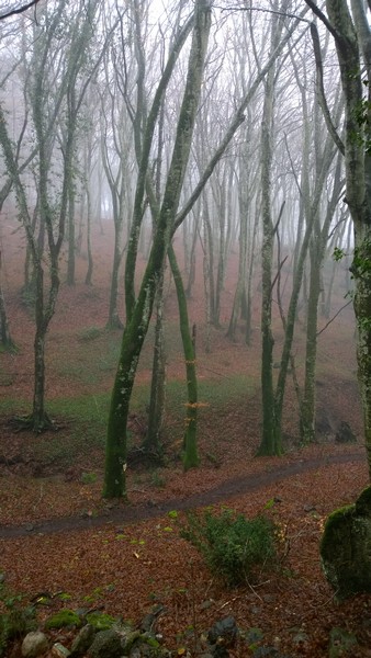 Trail del Monte Fogliano (Crit. Trail) (02/02/2014) 009