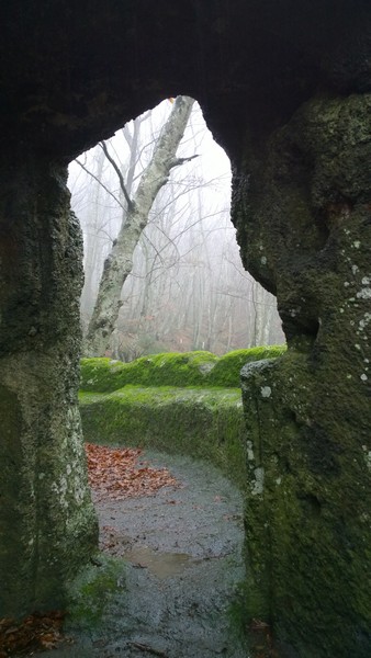 Trail del Monte Fogliano (Crit. Trail) (02/02/2014) 010