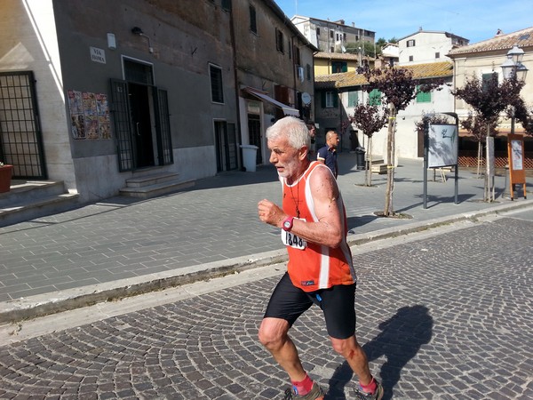 Trail dei Boschi Mesofili (10/05/2014) 00005