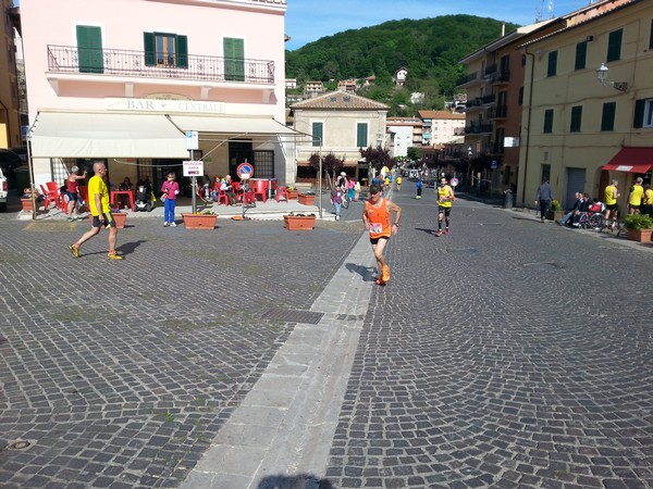 Trail dei Boschi Mesofili (10/05/2014) 00010
