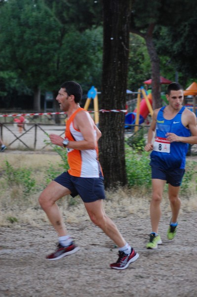 Solstizio d'estate (18/06/2014) 00221
