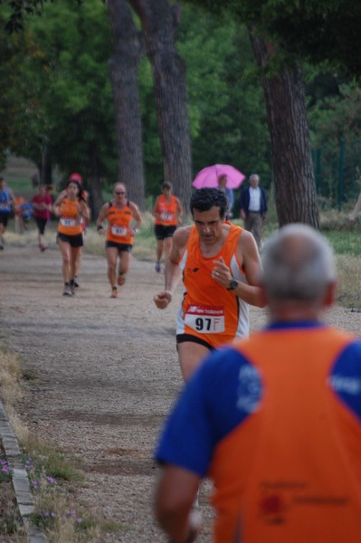 Solstizio d'estate (18/06/2014) 00240