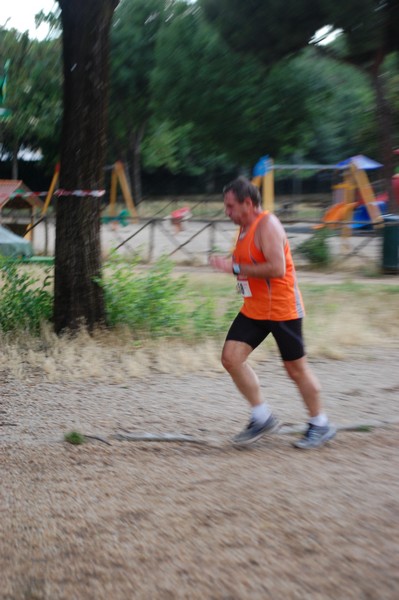 Solstizio d'estate (18/06/2014) 00281