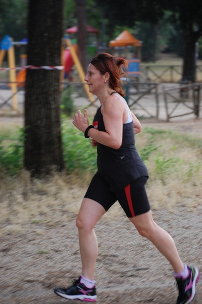 Solstizio d'estate (18/06/2014) 00296