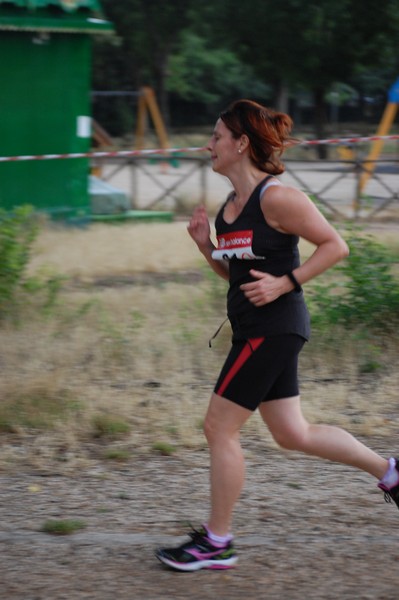 Solstizio d'estate (18/06/2014) 00297