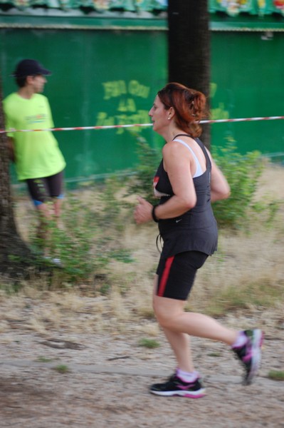 Solstizio d'estate (18/06/2014) 00298