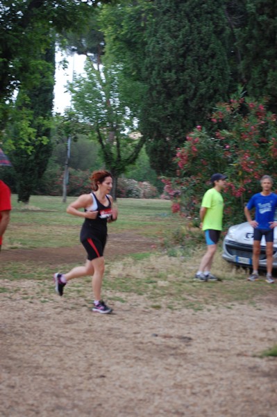 Solstizio d'estate (18/06/2014) 00299