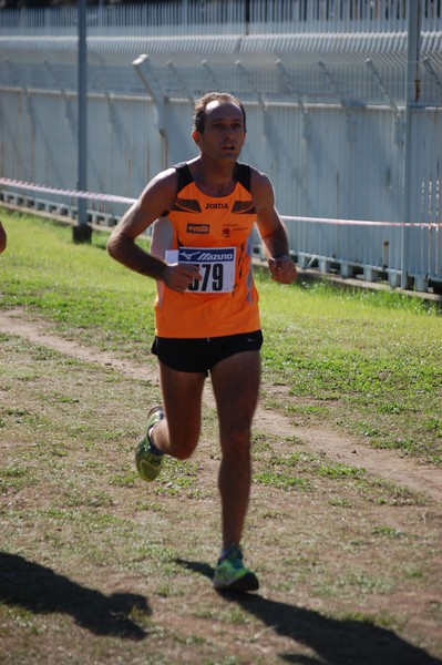Trofeo Podistica Solidarietà (28/09/2014) 00014