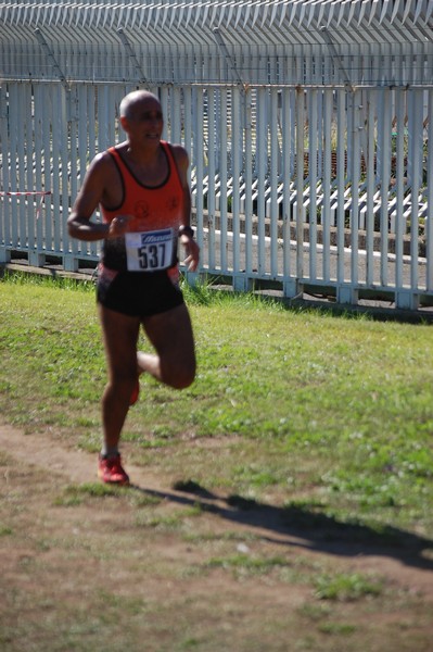 Trofeo Podistica Solidarietà (28/09/2014) 00022