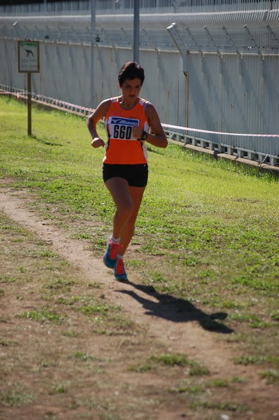 Trofeo Podistica Solidarietà (28/09/2014) 00029