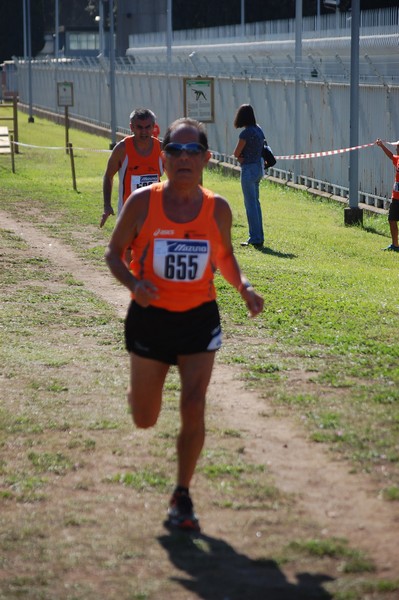 Trofeo Podistica Solidarietà (28/09/2014) 00041