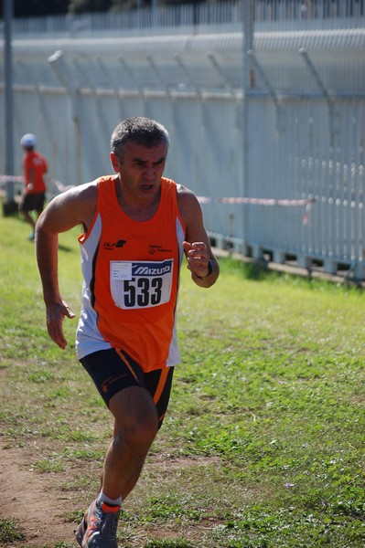 Trofeo Podistica Solidarietà (28/09/2014) 00042