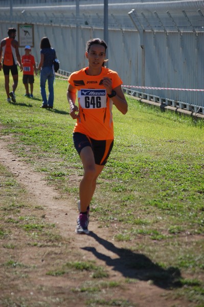 Trofeo Podistica Solidarietà (28/09/2014) 00047