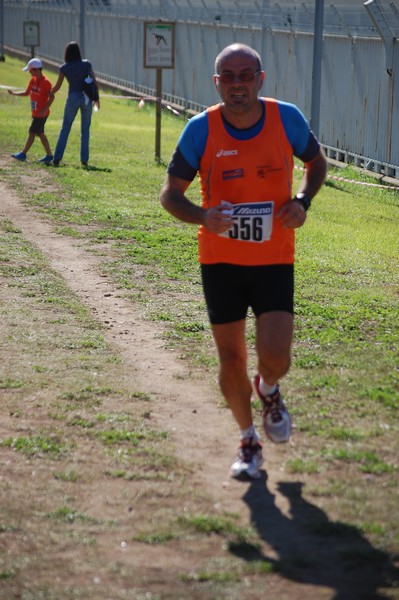 Trofeo Podistica Solidarietà (28/09/2014) 00051