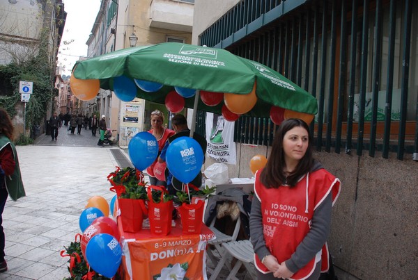 Una Gardenia per l'AISM (08/03/2014) 00001