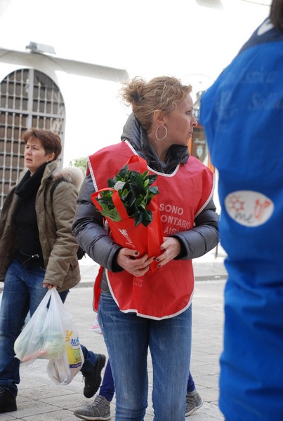 Una Gardenia per l'AISM (08/03/2014) 00033