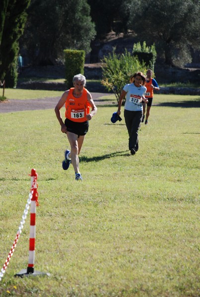 Corsa delle 3 Ville (C.E.) (14/09/2014) 00106