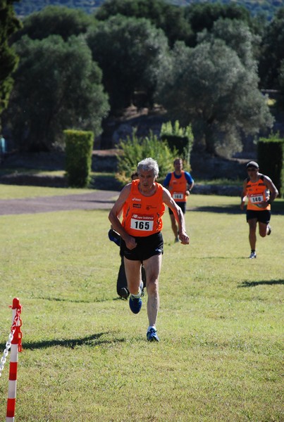 Corsa delle 3 Ville (C.E.) (14/09/2014) 00108