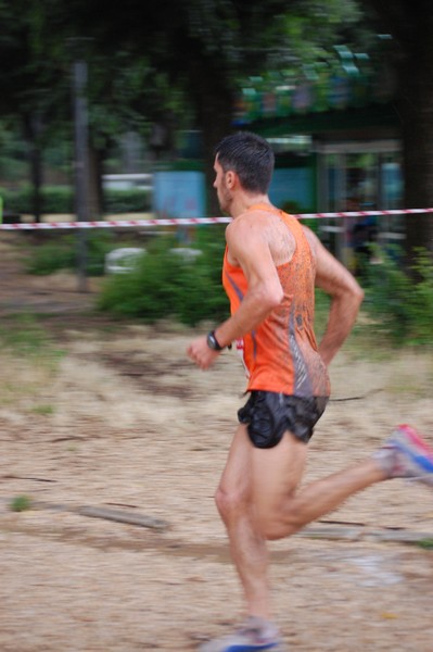 Solstizio d'estate (18/06/2014) 00010