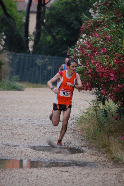 Solstizio d'estate (18/06/2014) 00033