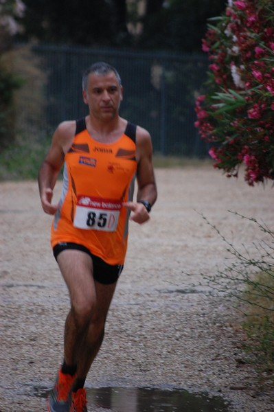 Solstizio d'estate (18/06/2014) 00071