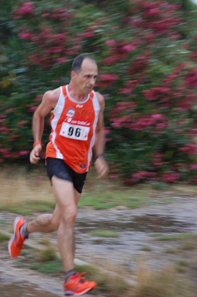 Solstizio d'estate (18/06/2014) 00089