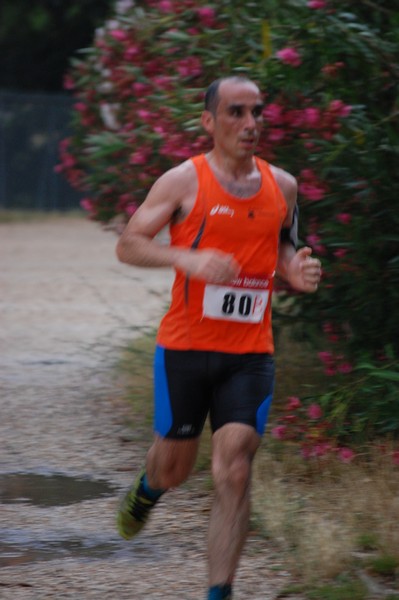 Solstizio d'estate (18/06/2014) 00108