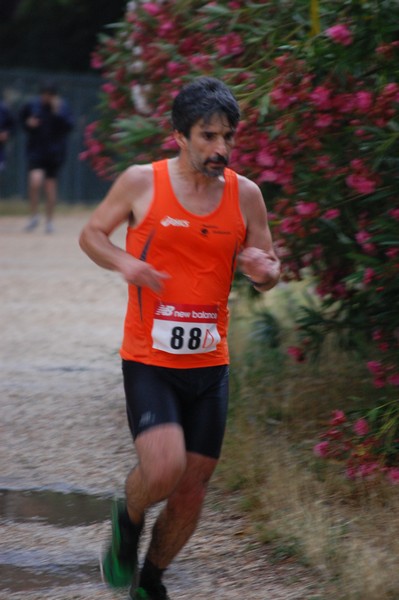 Solstizio d'estate (18/06/2014) 00116
