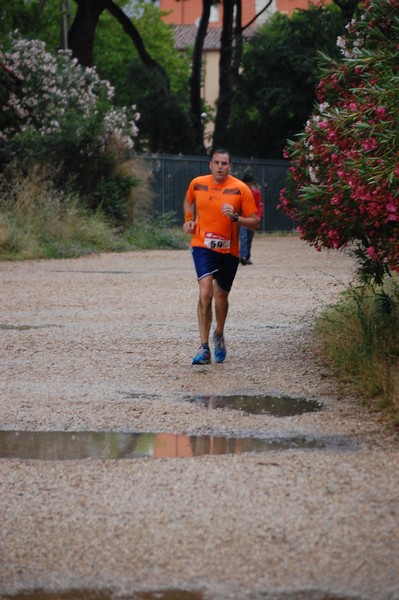 Solstizio d'estate (18/06/2014) 00143