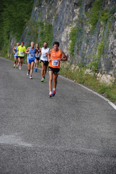 La Jennesina (12/07/2014) 00005