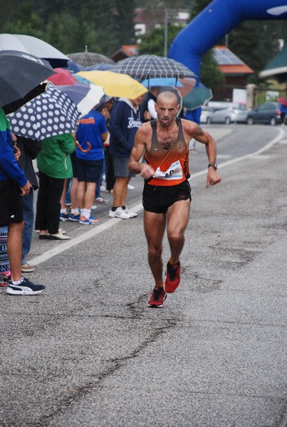 La Speata (C.E., T.S., T.O) (03/08/2014) 00014