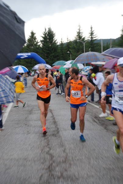 La Speata (C.E., T.S., T.O) (03/08/2014) 00050