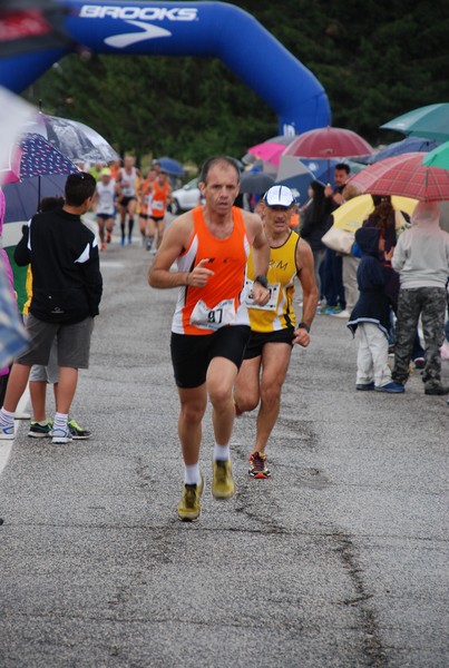 La Speata (C.E., T.S., T.O) (03/08/2014) 00088