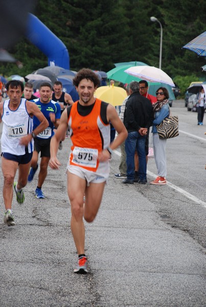 La Speata (C.E., T.S., T.O) (03/08/2014) 00100