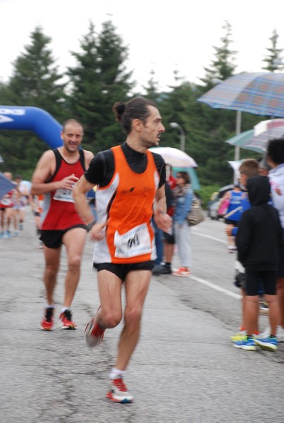 La Speata (C.E., T.S., T.O) (03/08/2014) 00106