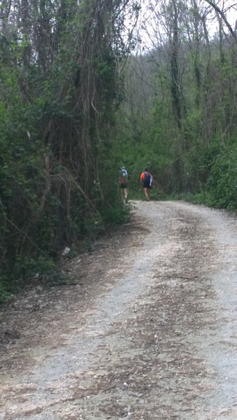 Monti Cimini Marathon (Crit. Trail) (12/04/2014) 009