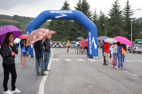 La Speata (C.E., T.S., T.O) (03/08/2014) 00026