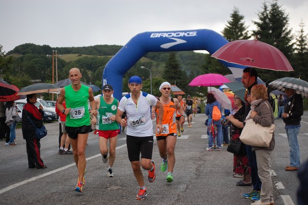 La Speata (C.E., T.S., T.O) (03/08/2014) 00082