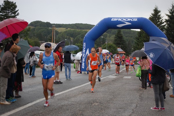 La Speata (C.E., T.S., T.O) (03/08/2014) 00141