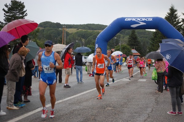 La Speata (C.E., T.S., T.O) (03/08/2014) 00142