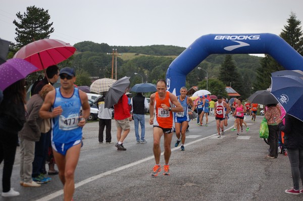 La Speata (C.E., T.S., T.O) (03/08/2014) 00143